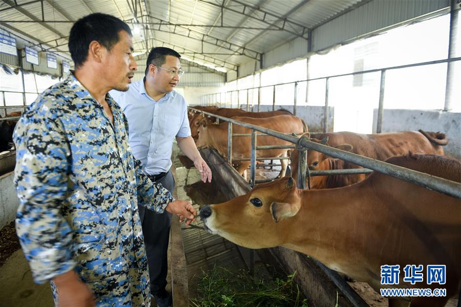 （脫貧攻堅(jiān)&middot;圖文互動(dòng)）（2）&ldquo;不畏難、不畏煩、不畏苦&rdquo;&mdash;&mdash;記&ldquo;80后&rdquo;扶貧干部李朝陽