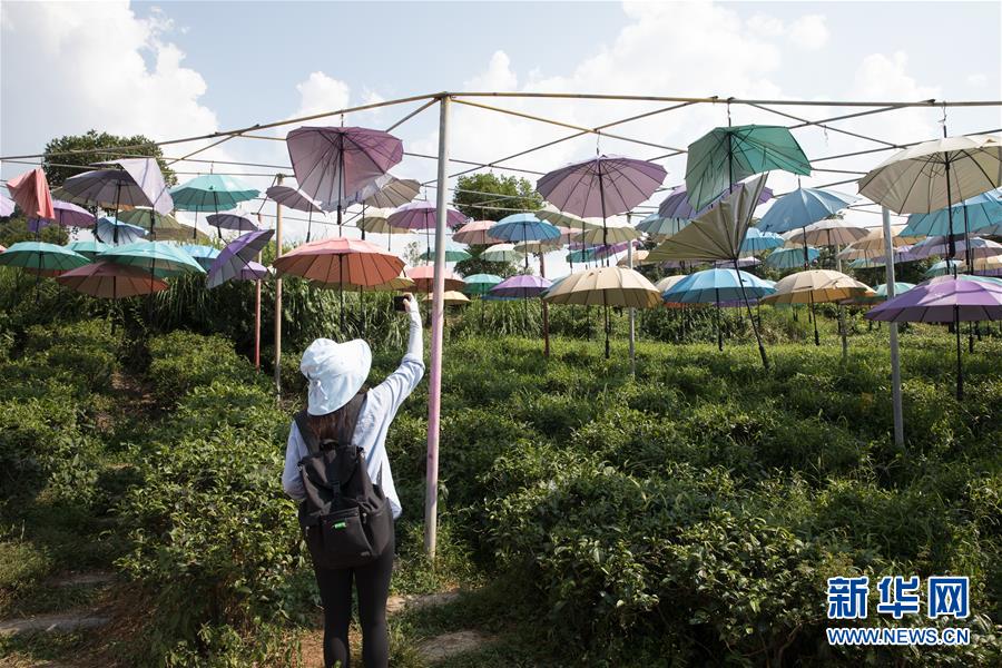 （大江奔流&mdash;&mdash;來自長江經(jīng)濟(jì)帶的報道&middot;圖文互動）（4）在這里，做一個幸福的農(nóng)民