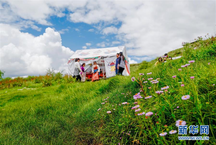 （社會(huì)）（4）夏日&ldquo;過(guò)林卡&rdquo; 親近大自然