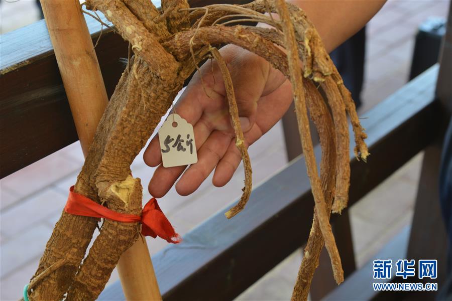 (在習(xí)近平新時(shí)代中國特色社會主義思想指引下——新時(shí)代新作為新篇章·圖文互動(dòng))(2)庫布其競相演繹“點(diǎn)沙成金”傳奇