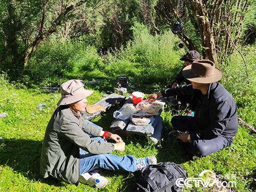 長(zhǎng)途跋涉途中休息。