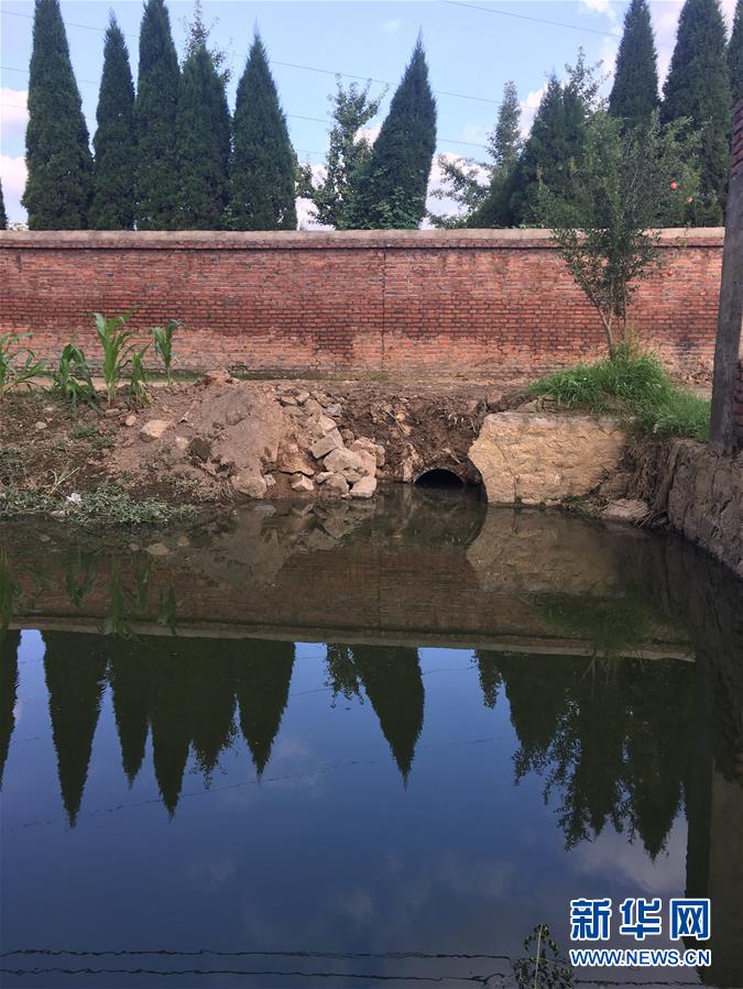 （新華視點&middot;圖文互動）（3）上游洪水來襲下游魚蟹死亡，泄洪為何變泄污？