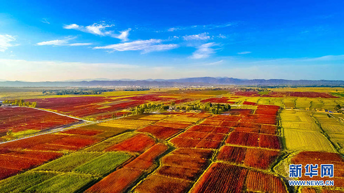 秋收的中國，你想象不到的美！但更美的是&hellip;&hellip;