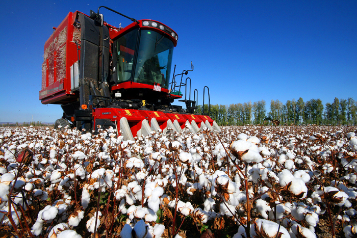 秋收的中國，你想象不到的美！但更美的是&hellip;&hellip;