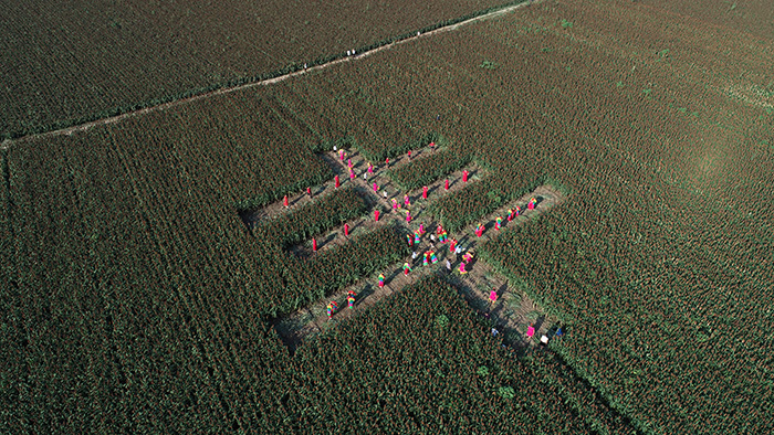 秋收的中國，你想象不到的美！但更美的是&hellip;&hellip;