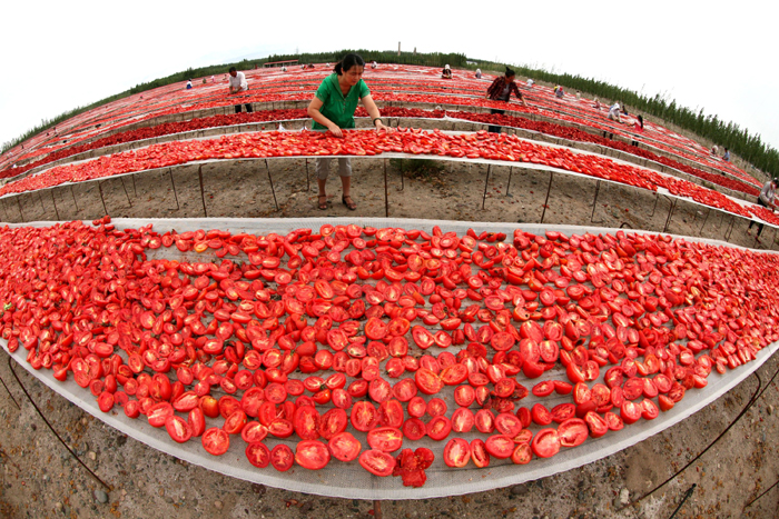 秋收的中國，你想象不到的美！但更美的是&hellip;&hellip;