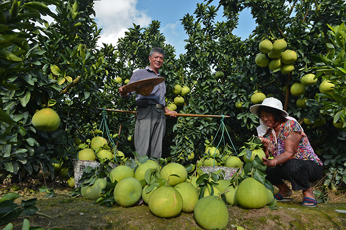 秋收的中國，你想象不到的美！但更美的是&hellip;&hellip;
