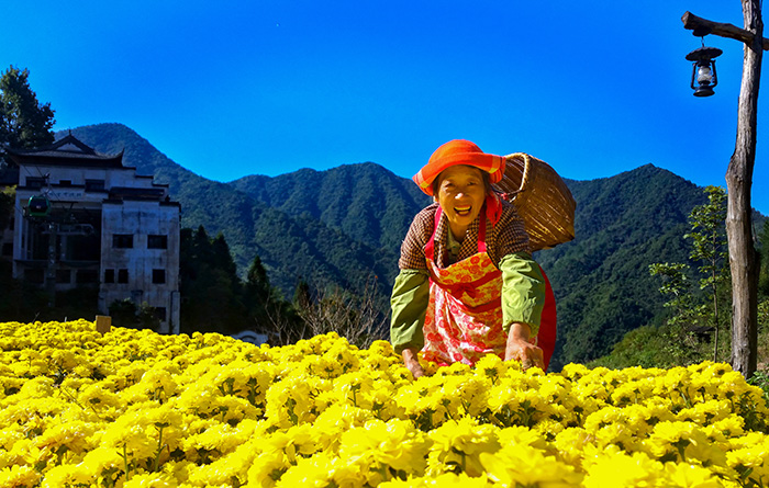 秋收的中國，你想象不到的美！但更美的是&hellip;&hellip;