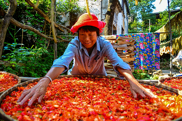 秋收的中國，你想象不到的美！但更美的是&hellip;&hellip;
