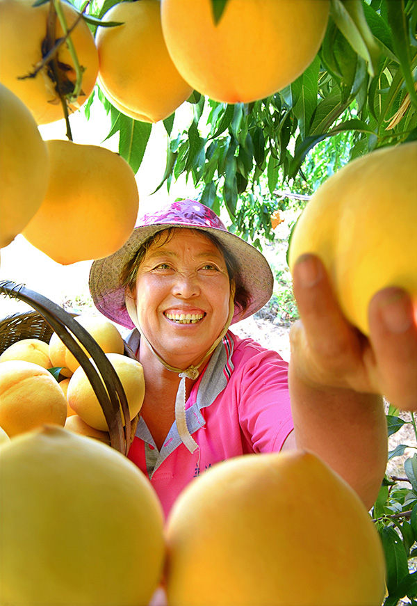 秋收的中國，你想象不到的美！但更美的是&hellip;&hellip;