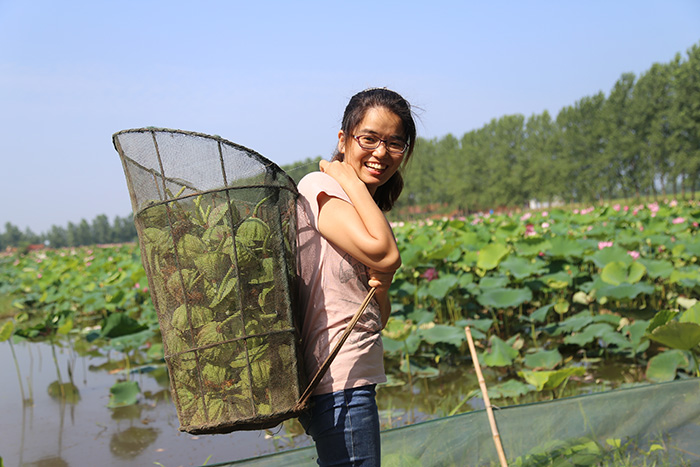 秋收的中國，你想象不到的美！但更美的是&hellip;&hellip;