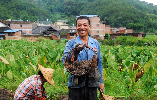 秋收的中國，你想象不到的美！但更美的是&hellip;&hellip;