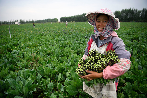 秋收的中國，你想象不到的美！但更美的是&hellip;&hellip;