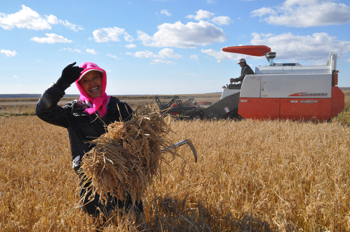 秋收的中國，你想象不到的美！但更美的是&hellip;&hellip;