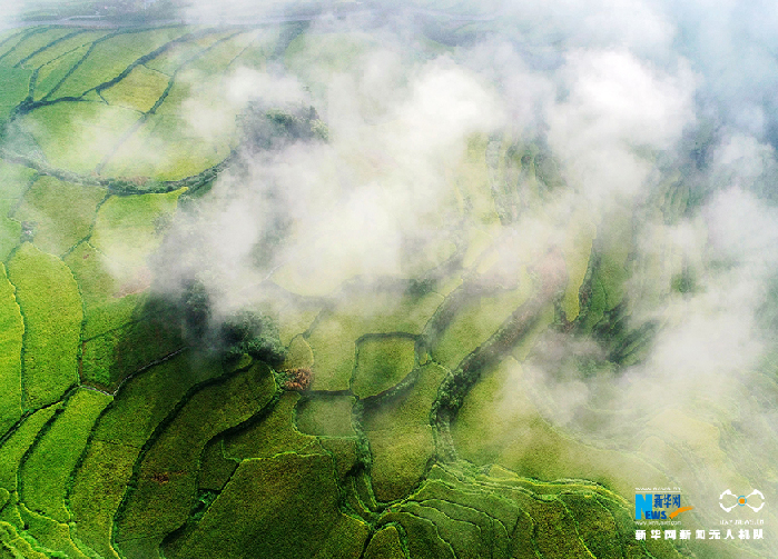 秋收的中國，你想象不到的美！但更美的是&hellip;&hellip;