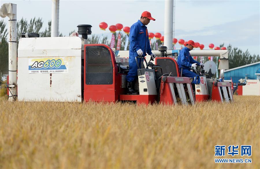 （新華全媒頭條&middot;圖文互動(dòng)）（9）最年輕的節(jié)日 最悠久的牽念&mdash;&mdash;寫(xiě)給首個(gè)中國(guó)農(nóng)民豐收節(jié)