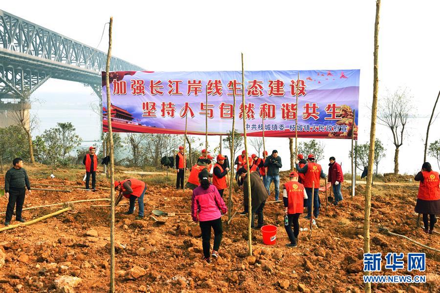 (在習近平新時代中國特色社會主義思想指引下——新時代新作為新篇章·圖文互動)(2)湖北枝城鎮(zhèn):片區(qū)黨建助推鄉(xiāng)村全面振興