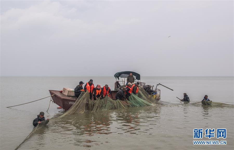 （新華全媒頭條&middot;圖文互動(dòng)）（8）情系黑土地&mdash;&mdash;習(xí)近平總書記考察東北三省回訪記