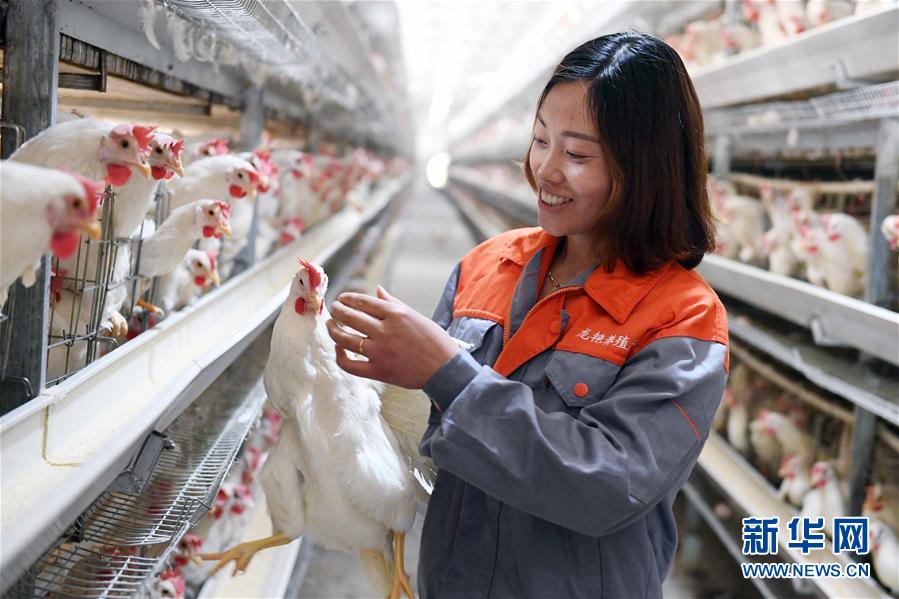 （新華全媒頭條&middot;圖文互動(dòng)）（1）希望灑在金色田野&mdash;&mdash;寫(xiě)在鄉(xiāng)村振興戰(zhàn)略實(shí)施一周年之際