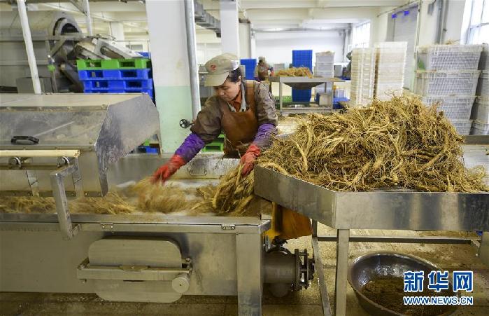 （百城百縣百企調(diào)研行&middot;圖文互動）（5）吉林集安：邊陲&ldquo;綠色明珠&rdquo;為何如此閃亮？