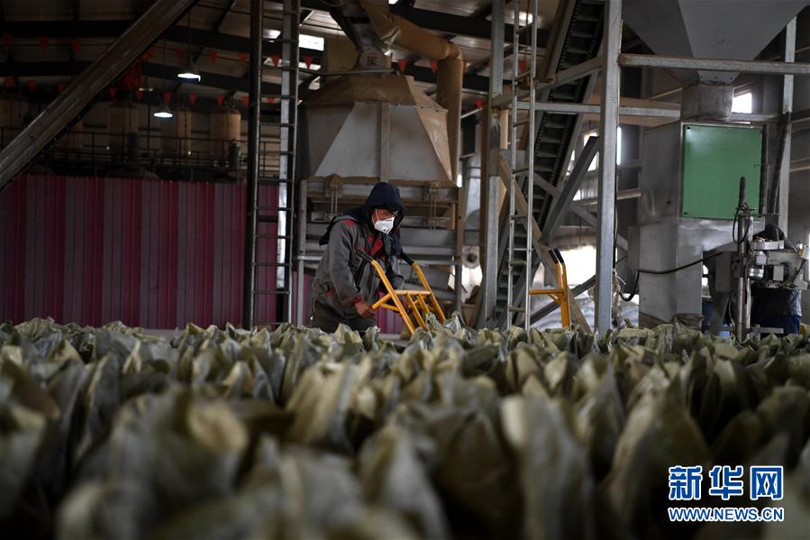 （在習(xí)近平新時(shí)代中國特色社會(huì)主義思想指引下&mdash;&mdash;新時(shí)代新氣象新作為&middot;鄉(xiāng)村振興戰(zhàn)略&middot;圖文互動(dòng)）（1）&ldquo;與其放火，不如打包&rdquo;&mdash;&mdash;山西渾源秸稈綜合再利用見聞