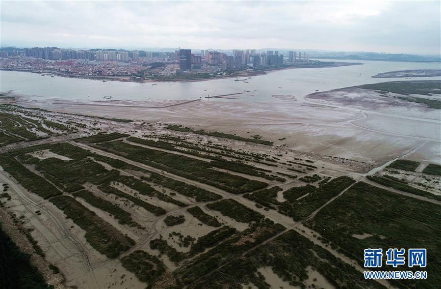 （新華視點(diǎn)&middot;圖文互動）（1）福建10名黨員干部被問責(zé)的背后：7部門十余次執(zhí)法未能有效制止泉州灣濕地圍墾行為