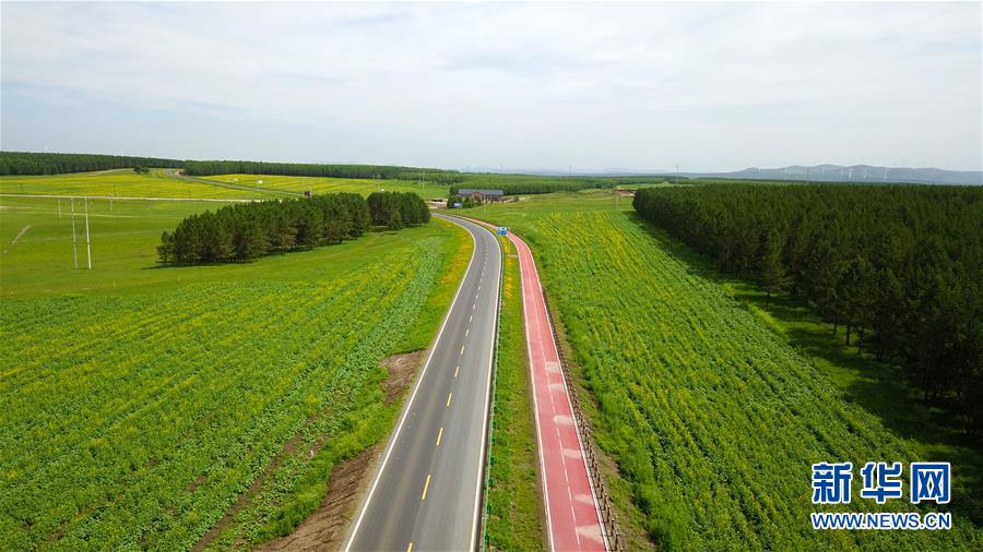 （新華全媒頭條&middot;圖文互動(dòng)）（4）那一抹綠色，走進(jìn)越來越多人心里&mdash;&mdash;河北塞罕壩續(xù)寫新時(shí)代綠色傳奇