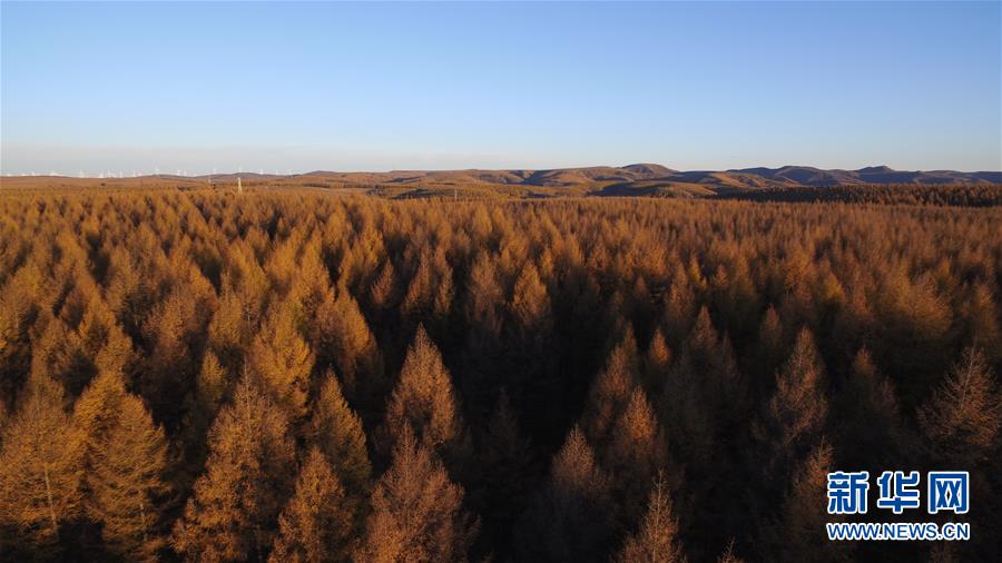 （新華全媒頭條&middot;圖文互動(dòng)）（6）那一抹綠色，走進(jìn)越來越多人心里&mdash;&mdash;河北塞罕壩續(xù)寫新時(shí)代綠色傳奇