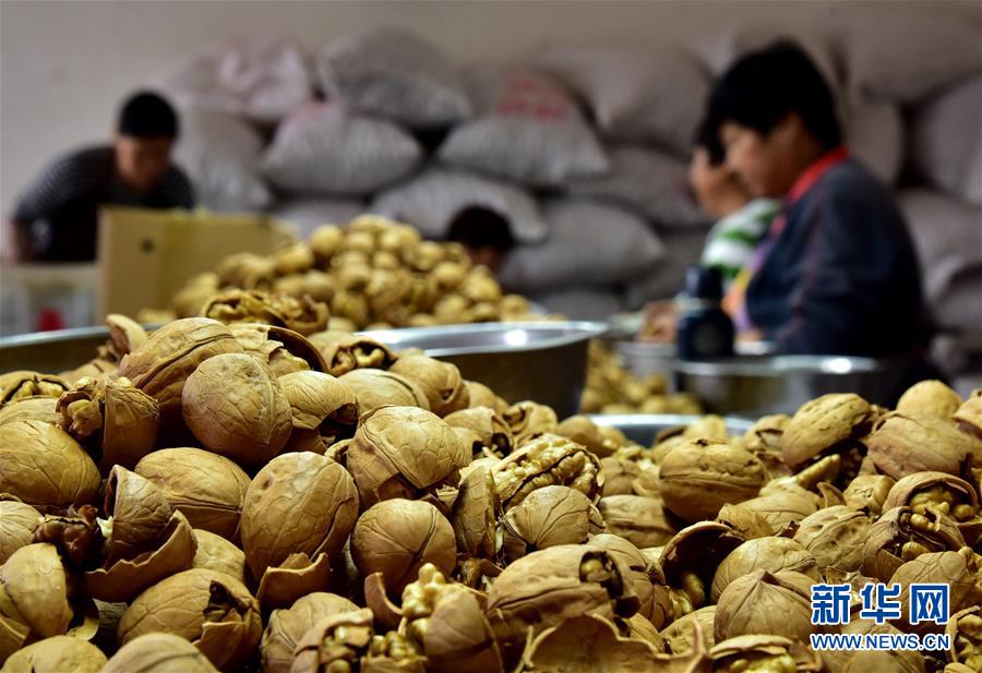 （新華全媒頭條&middot;圖文互動(dòng)）（12）心中有夢(mèng)想，腳下就有力量&mdash;&mdash;寫在&ldquo;中國(guó)夢(mèng)&rdquo;提出六周年之際