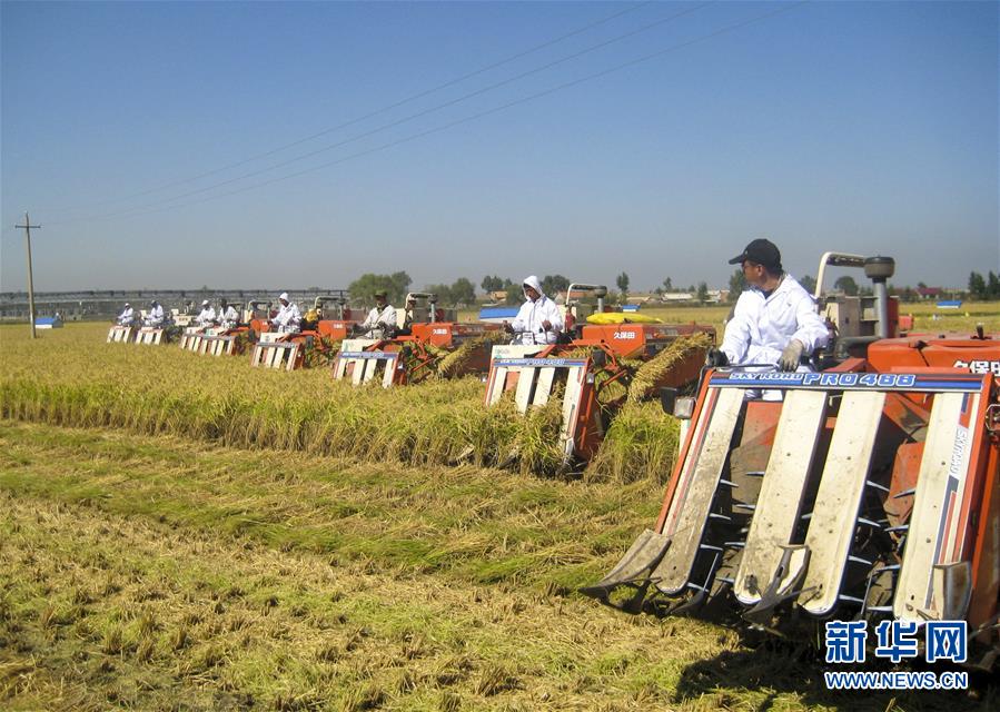 （慶祝改革開放40周年基層行&middot;鄉(xiāng)鎮(zhèn)篇&middot;圖文互動(dòng)）（6）三產(chǎn)融合培育鄉(xiāng)村振興熱土&mdash;&mdash;吉林孤店子鎮(zhèn)&ldquo;村變城&rdquo;背后的故事