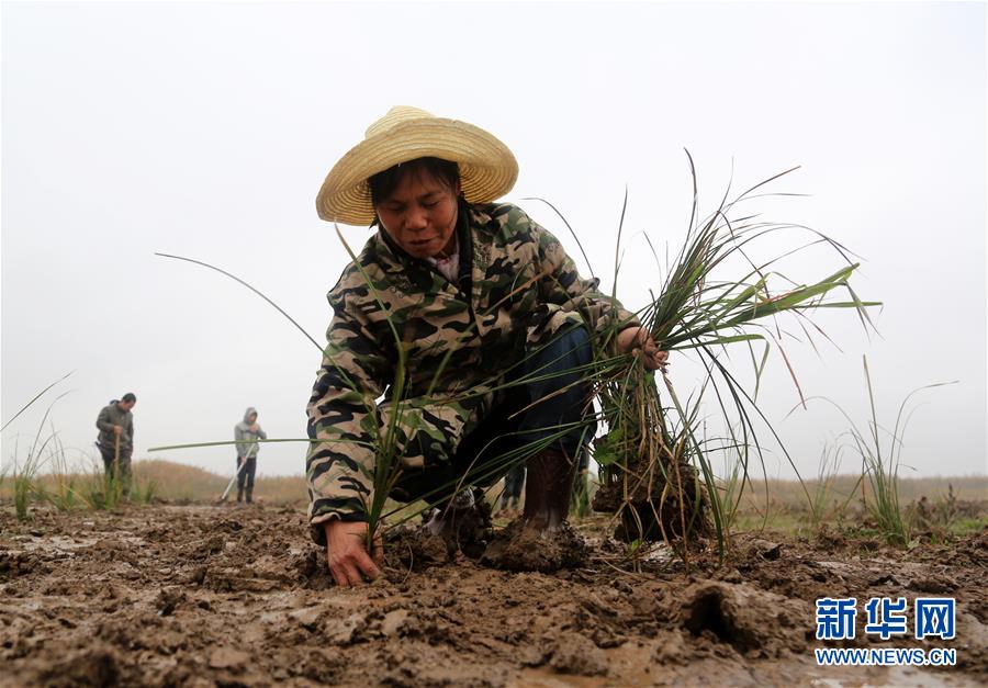 （新華視點(diǎn)&middot;回望2018&middot;圖文互動(dòng)）（3）2018年新華社曝光多起破壞生態(tài)事件，記者年底追訪發(fā)現(xiàn)&hellip;&hellip;