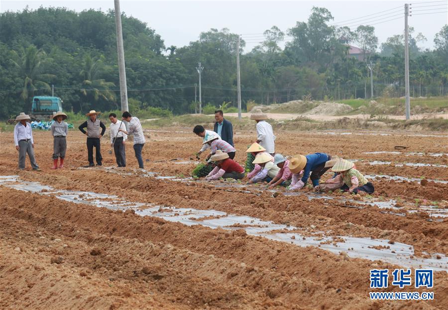 （新華視點(diǎn)&middot;回望2018&middot;圖文互動(dòng)）（7）2018年新華社曝光多起破壞生態(tài)事件，記者年底追訪發(fā)現(xiàn)&hellip;&hellip;