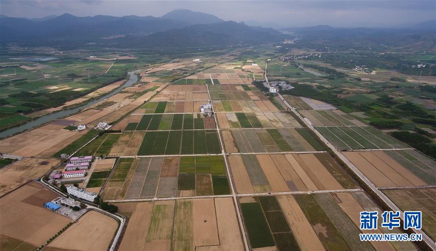 （百城百縣百企調(diào)研行&middot;圖文互動(dòng)）（1）海南農(nóng)墾：農(nóng)業(yè)&ldquo;國(guó)家隊(duì)&rdquo;打贏改革&ldquo;翻身仗&rdquo;