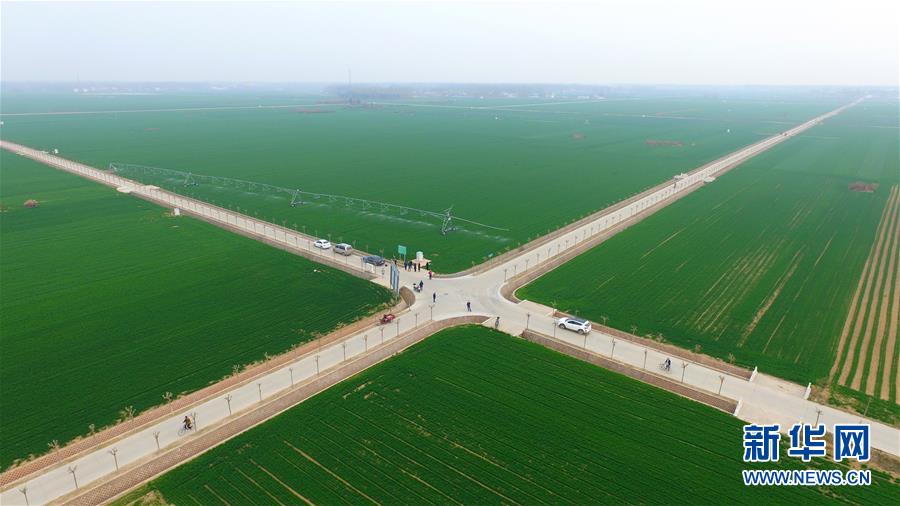 （來(lái)自一線的調(diào)查報(bào)告&middot;圖文互動(dòng)）（1）從&ldquo;填飽肚子&rdquo;到&ldquo;過(guò)好日子&rdquo;&mdash;&mdash;改革開(kāi)放40年河南農(nóng)業(yè)三重&ldquo;蝶變記&rdquo;