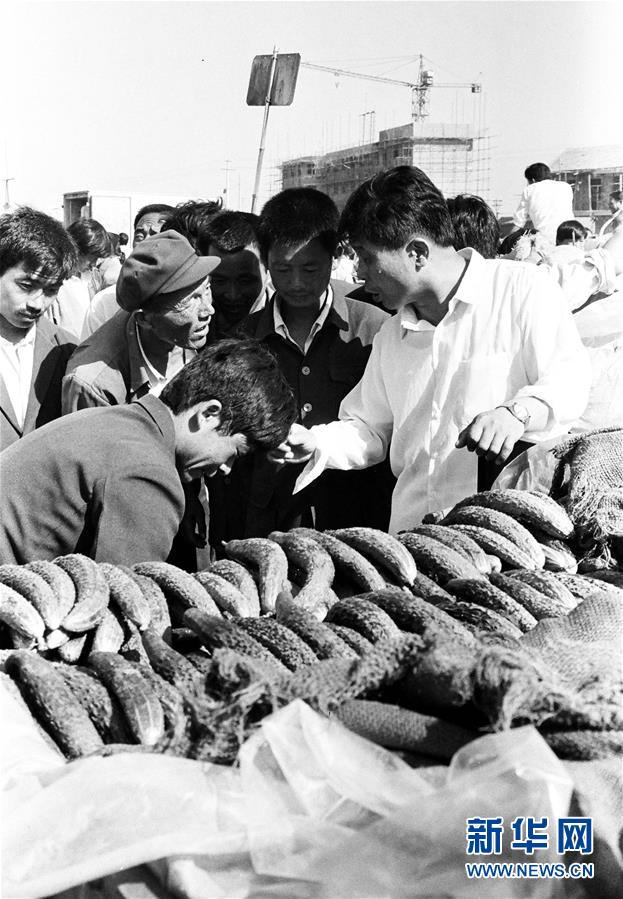 （改革先鋒風采&middot;圖文互動）（3）王伯祥：山東壽光蔬菜產業(yè)的推動者 