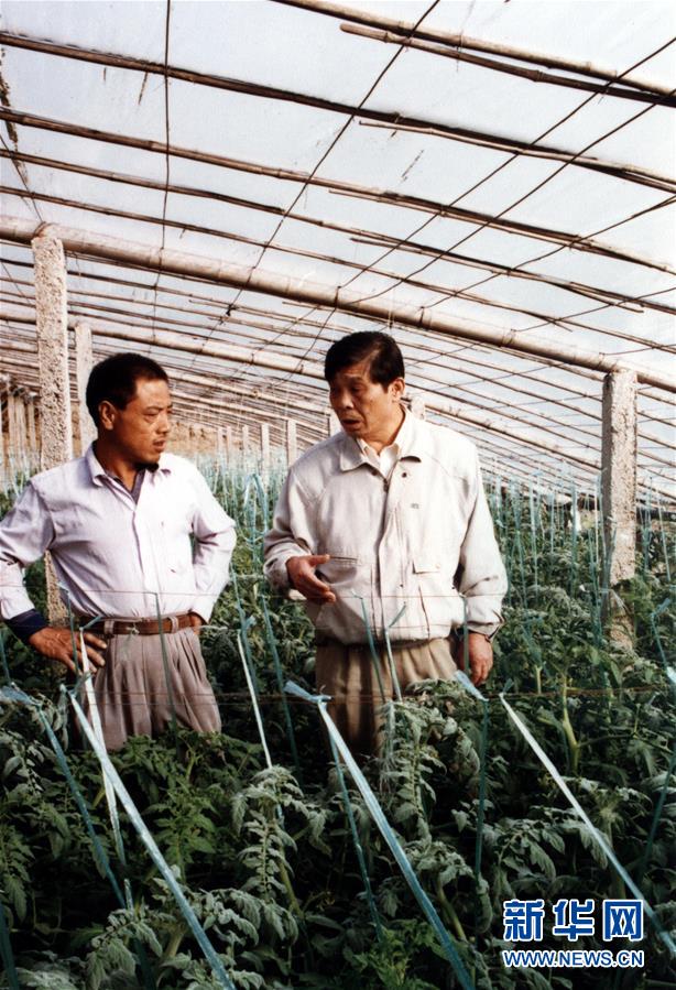 （改革先鋒風采&middot;圖文互動）（1）王伯祥：山東壽光蔬菜產業(yè)的推動者 