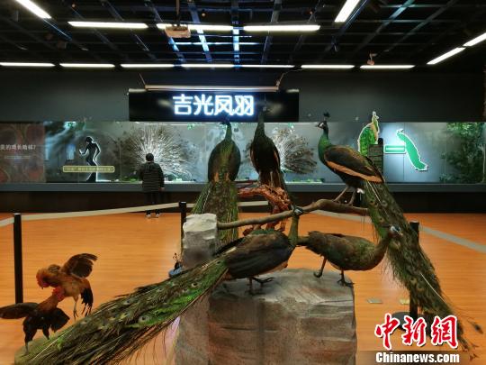 先有雞還是先有蛋？這個科普展覽有點&ldquo;不一般&rdquo;