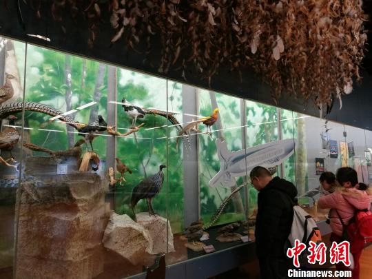 圖為展覽現(xiàn)場?！『h航 攝