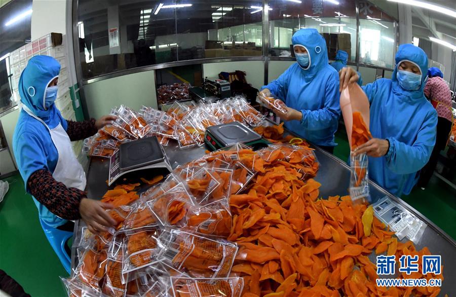 (社會(huì))(4)福建連城:山村電商闖出致富路