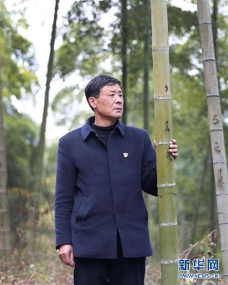 （改革先鋒風(fēng)采&middot;圖文互動(dòng)）（1）鮑新民：&ldquo;綠水青山就是金山銀山&rdquo;理念的踐行者