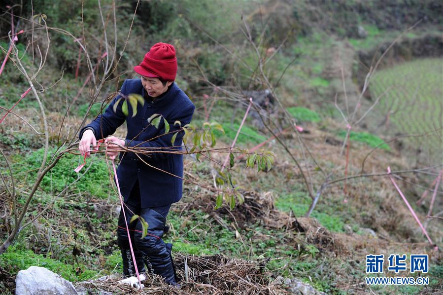 (圖文互動(dòng))(3)平靜而充滿力量——“中國(guó)網(wǎng)事·感動(dòng)2018”年度網(wǎng)絡(luò)人物群像