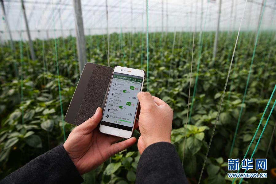 （新華全媒頭條&middot;圖文互動）（8）聚焦高質(zhì)量，躍上新臺階&mdash;&mdash;新年開局看中國經(jīng)濟信心和潛力