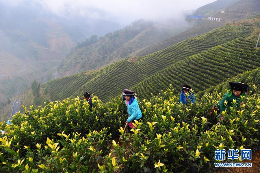 （兩會(huì)前夕看落實(shí)&middot;圖文互動(dòng)）（8）決戰(zhàn)脫貧攻堅(jiān) 奮力后發(fā)趕超&mdash;&mdash;貴州落實(shí)習(xí)近平總書記全國(guó)兩會(huì)重要講話精神紀(jì)實(shí)