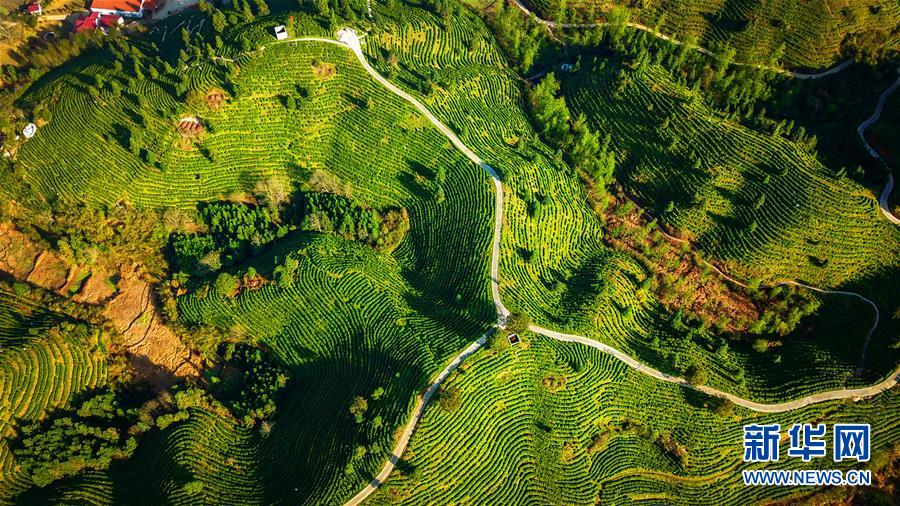 （兩會(huì)前夕看落實(shí)&middot;圖文互動(dòng)）（5）奮力脫貧攻堅(jiān) 生態(tài)追&ldquo;清&rdquo;逐&ldquo;綠&rdquo;&mdash;&mdash;江西落實(shí)習(xí)近平總書(shū)記全國(guó)兩會(huì)重要講話精神紀(jì)實(shí)