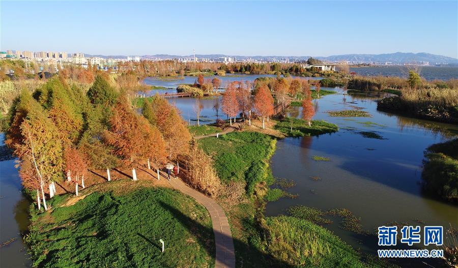 (在習(xí)近平新時(shí)代中國(guó)特色社會(huì)主義思想指引下——新時(shí)代新作為新篇章·圖文互動(dòng))(5)高原春來早 云嶺開新篇