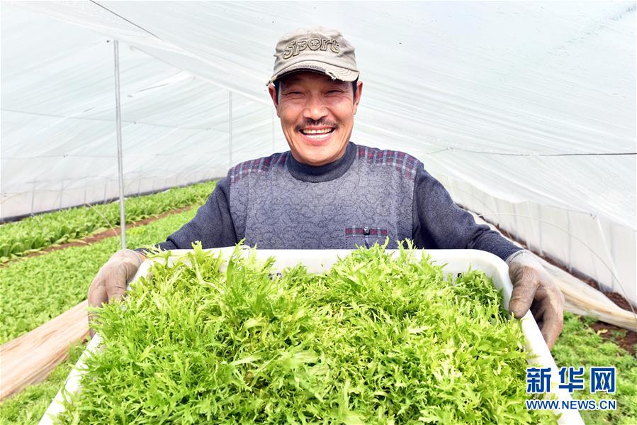 （兩會前夕看落實(shí)&middot;圖文互動）（3）融合&ldquo;三生三美&rdquo; 打造鄉(xiāng)村振興齊魯樣板&mdash;&mdash;山東落實(shí)習(xí)近平總書記全國兩會重要講話精神紀(jì)實(shí)