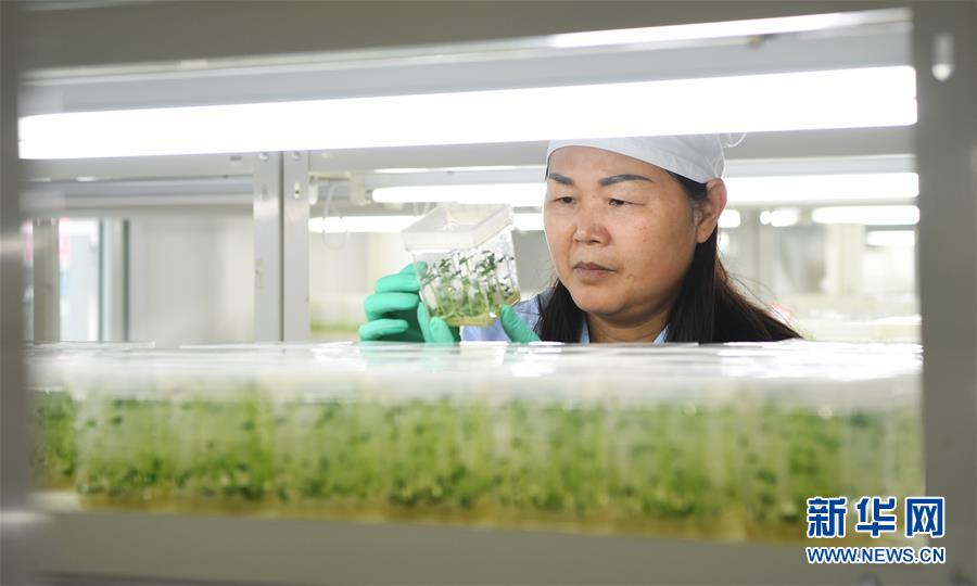 （兩會前夕看落實(shí)&middot;圖文互動(dòng)）（5）春風(fēng)涌動(dòng)兩江潮&mdash;&mdash;重慶落實(shí)習(xí)近平總書記全國兩會重要講話精神紀(jì)實(shí)