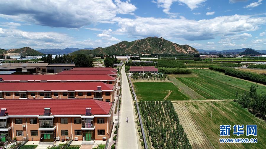 (新華全媒頭條·圖文互動)(5)承諾有“干貨” 落實(shí)有“硬招”——“全國兩會部長通道”上承諾踐行情況掃描