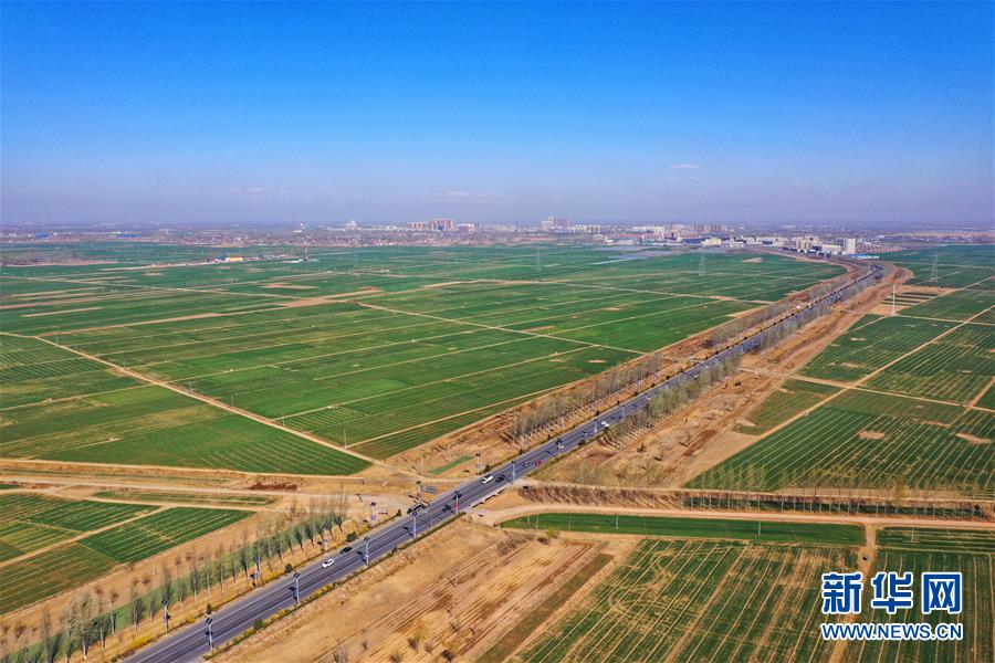 （新華全媒頭條&middot;圖文互動）（2）奮進，向著未來之城！&mdash;&mdash;河北雄安新區(qū)建設發(fā)展兩周年紀實