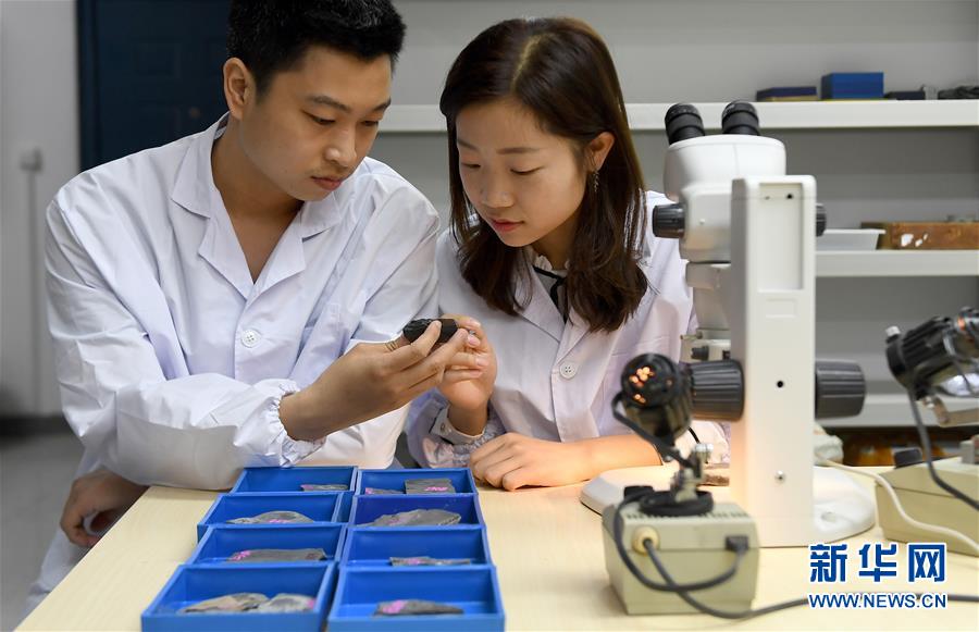 （新華全媒頭條&middot;圖文互動）（5）探尋5億年前&ldquo;生命大爆炸&rdquo;之奧秘&mdash;&mdash;中國科學(xué)家發(fā)現(xiàn)寒武紀&ldquo;化石寶庫&rdquo;清江生物群紀實